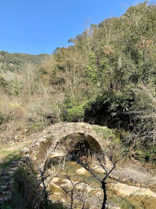 Casa Bertagna Διαμέρισμα Rocchetta Nervina Εξωτερικό φωτογραφία